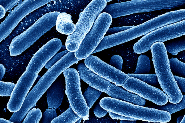 microben